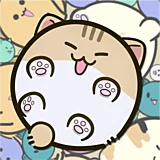play Cats Drop